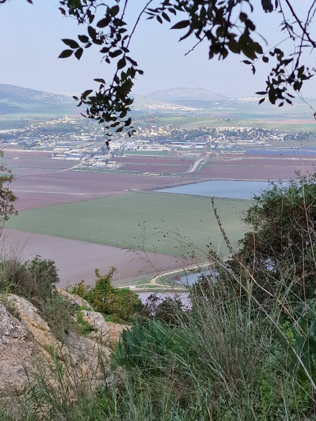 ניגונים לארץ אהבתי