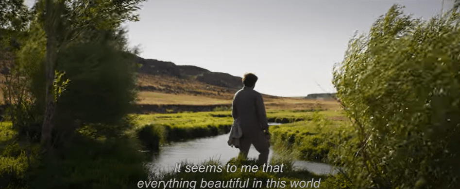 על עשבים יבשים