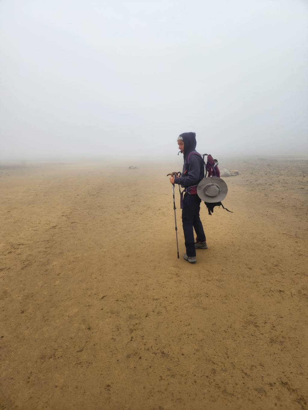 אולי בעצם נסענו&nbsp;לירח.