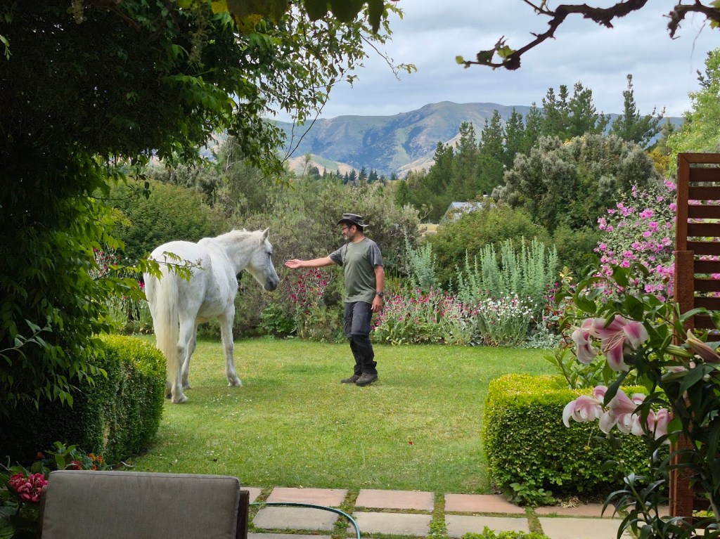 רק שנינו בערסל